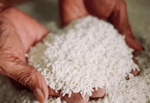 ನಾವು ದಿನನಿತ್ಯ ತಿನ್ನೋ ಅನ್ನ ಎಷ್ಟು ಸೇಫ್? – ಕೃಷಿ ವಿವಿಯಿಂದ ಸ್ಫೋಟಕ ಮಾಹಿತಿ ಬಹಿರಂಗ!